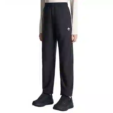 DESCENTE SKI STYLE Logo