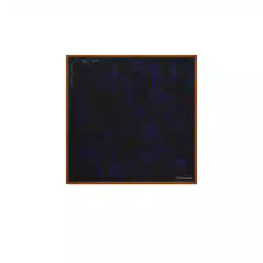 Louis Vuitton Silk Scarf Black