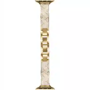 apple watch S11S10987Se