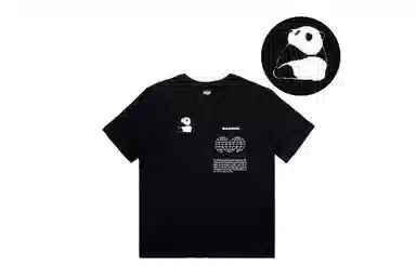 SALOMON GRAPHIC CYDDT