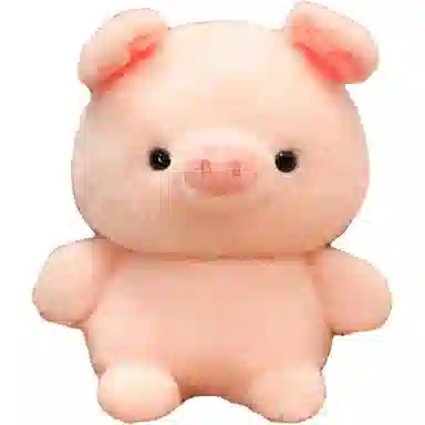 15cm