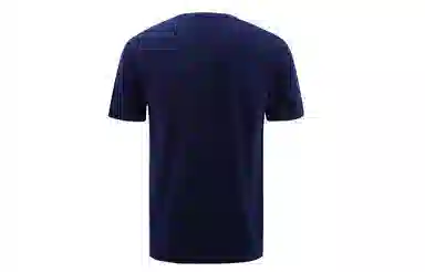 Champion T