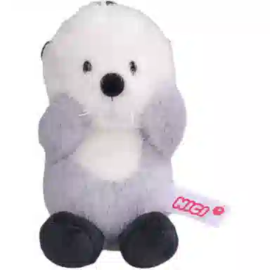 NICI 10cm