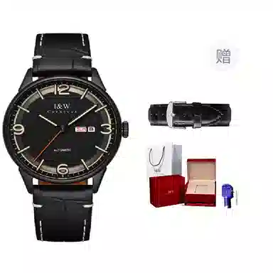 IW CARNIVAL HWGUOJI DW578G