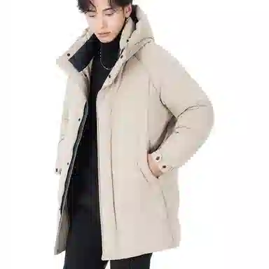 ASSIDUOUS CONFUSED EFFORT 2025