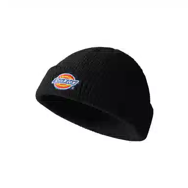 Dickies Beanie