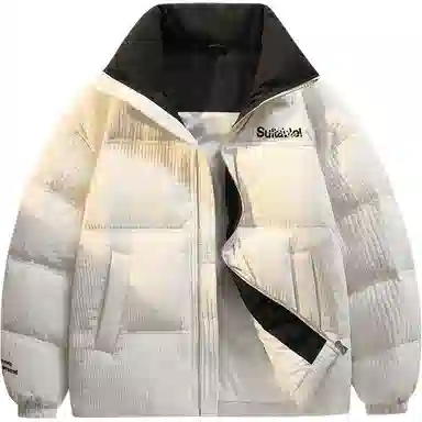 鸭鸭 加厚保暖休闲宽松无性别刺绣字母泡芙面料简约立领暗黑羽绒服外套 男款