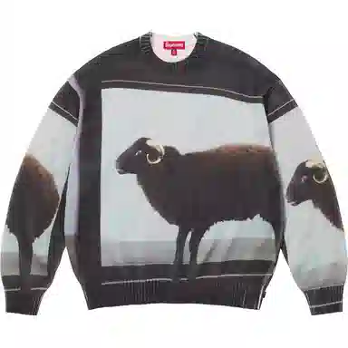 Supreme x Damien Hirst Sweater