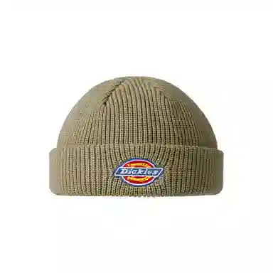 Dickies Beanie