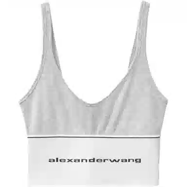 alexander wang SS20 Logo