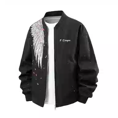 fdragon Logocleanfit