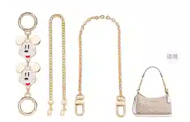 Disney COACH Teri 24