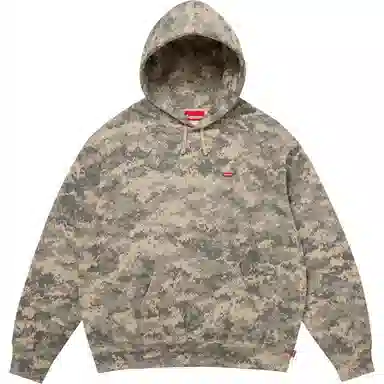 Supreme FW25 Small Box Hooded Sweatshirt