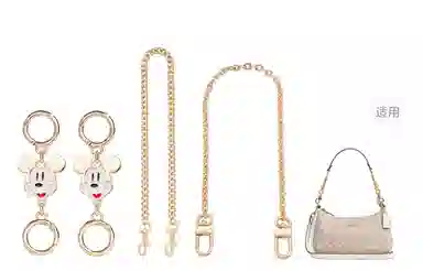 Disney COACH Teri 24