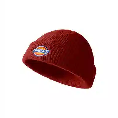 Dickies Beanie