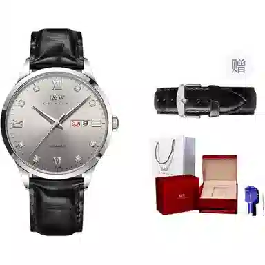 I&W Carnival IW8512PG