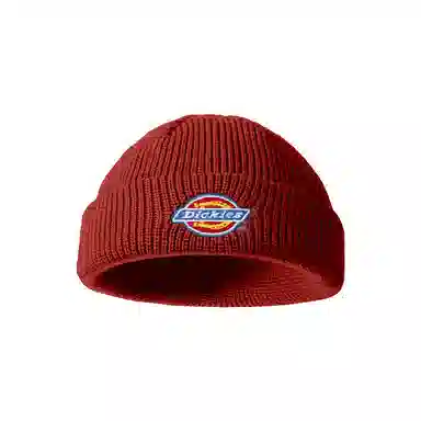Dickies Beanie