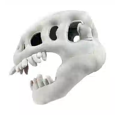 FGHGF Cos