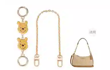 Disney COACH Teri 24diy