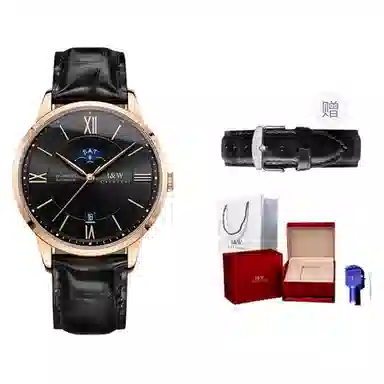 IW CARNIVAL HWGUOJI 528P