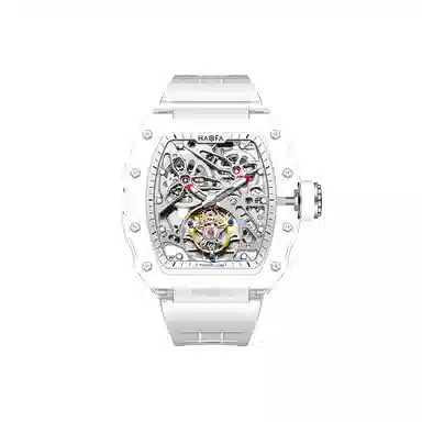 Tourbillon 2201-B