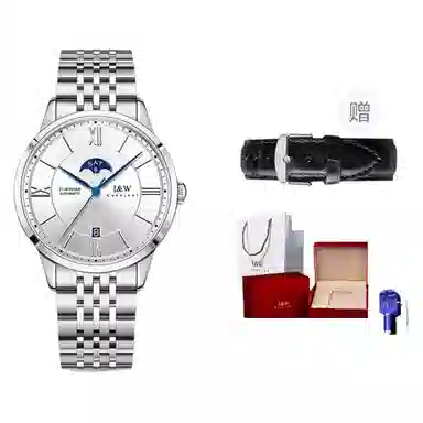 IW CARNIVAL HWGUOJI 528G