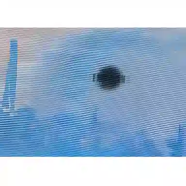 TEAM WANG design THE MONET