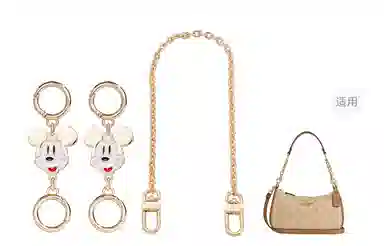 Disney COACH Teri 24diy