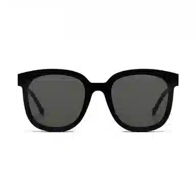 PLASTIC BRAIN PLASTIC BRAIN