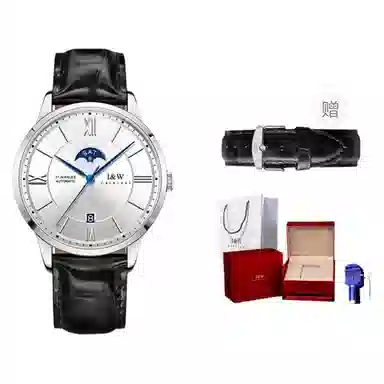 IW CARNIVAL HWGUOJI 528P