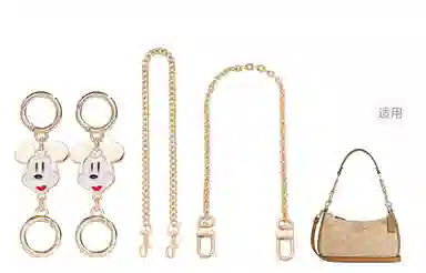 Disney COACH Teri 24diy