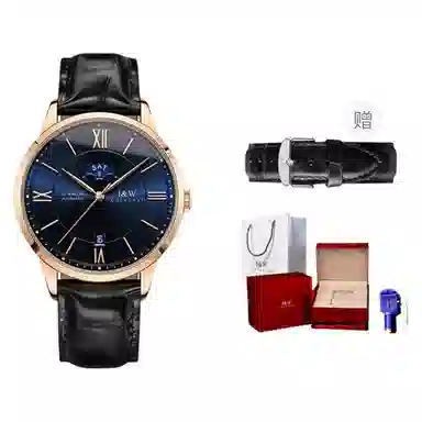 IW CARNIVAL HWGUOJI 528P