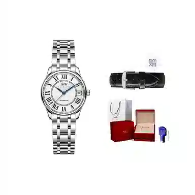 IW CARNIVAL HWGUOJI 665G