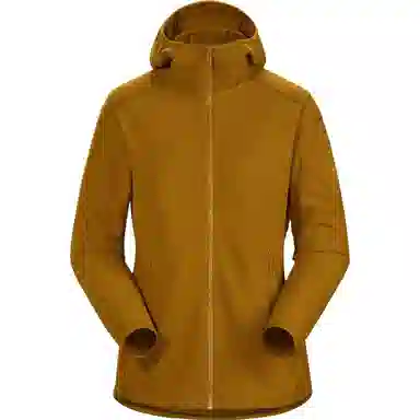 Arcteryx Delta Lt Hoody