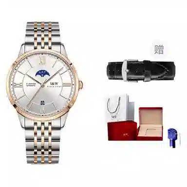 IW CARNIVAL HWGUOJI 528G