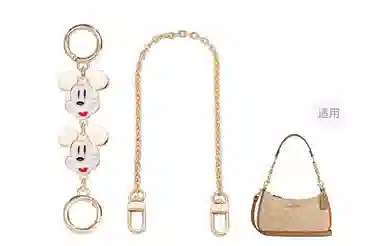 Disney COACH Teri 24diy