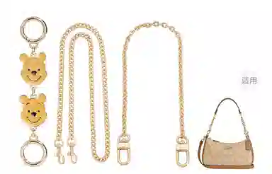 Disney COACH Teri 24diy