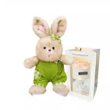 PUDOWRABBIT 35cm50cm