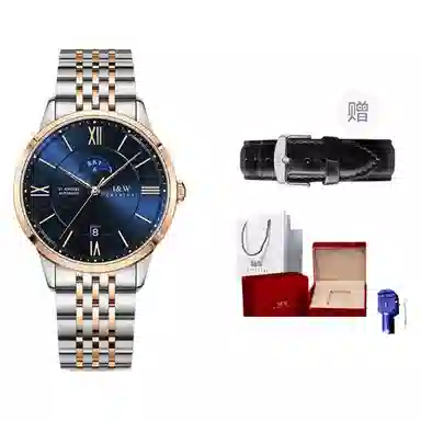 IW CARNIVAL HWGUOJI 528G