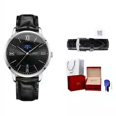 IW CARNIVAL HWGUOJI 528P