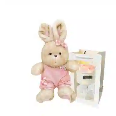 PUDOWRABBIT 35cm50cm