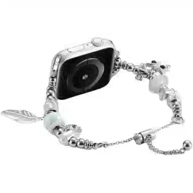 biaodaige iwatchapplewatch