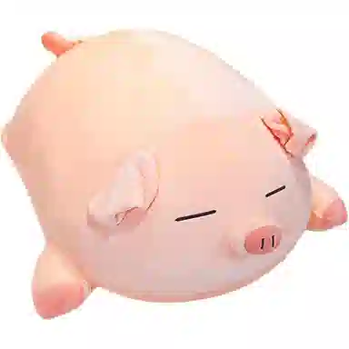 40cm50cm60cm80cm100cm