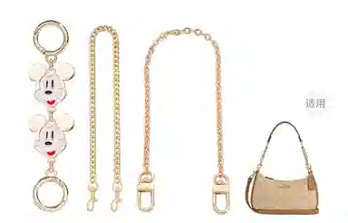 Disney COACH Teri 24diy