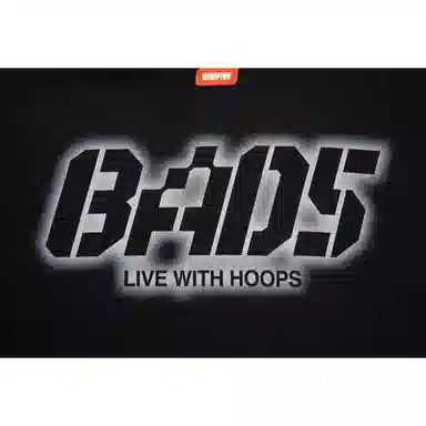 LiNing BAD5 LOGO