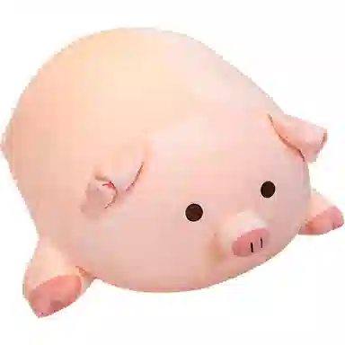 40cm50cm60cm80cm100cm