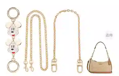 Disney COACH Teri 24diy