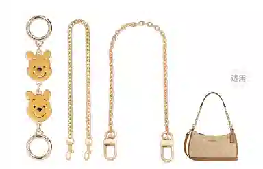 Disney COACH Teri 24diy