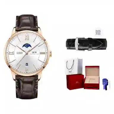 IW CARNIVAL HWGUOJI 528P