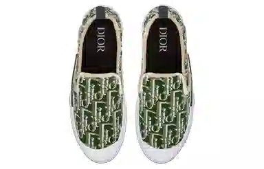 DIOR B23OBLIQUE
